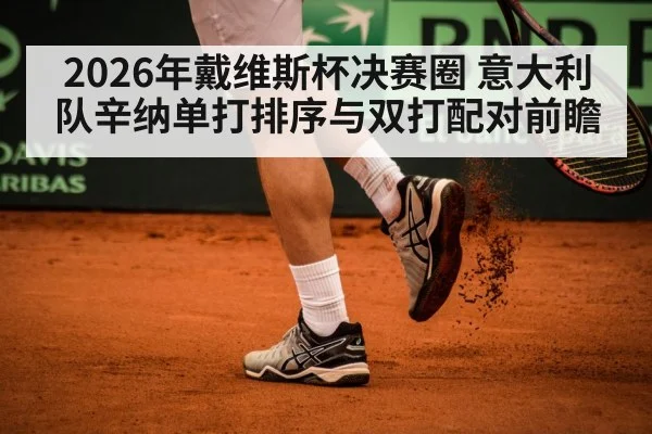 Davis Cup tennis match