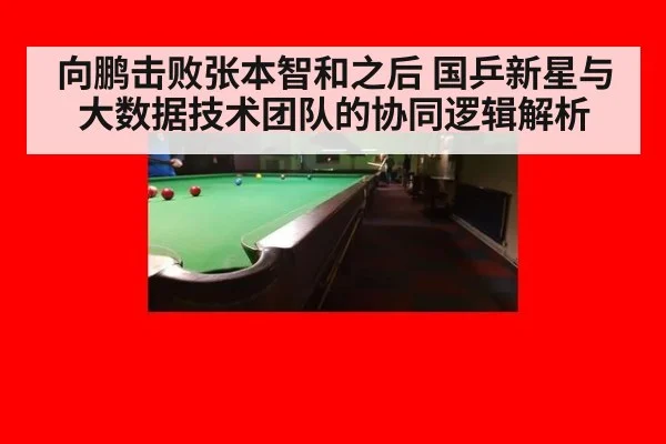 向鹏击败张本智和之后 国乒新星与大数据技术团队的协同逻辑解析